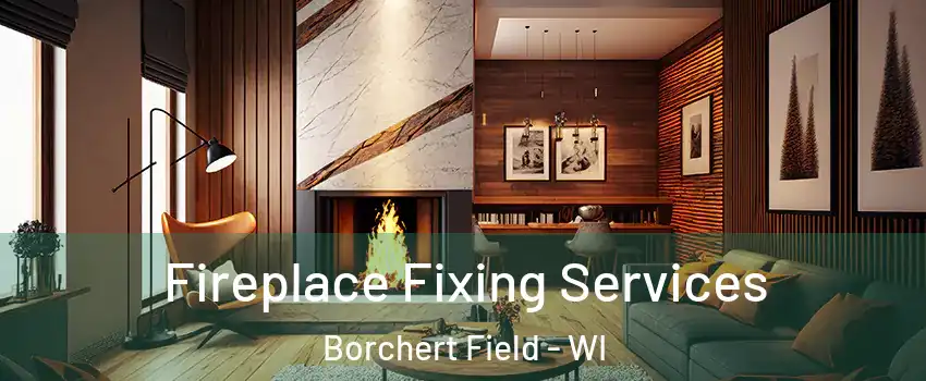 Fireplace Fixing Services Borchert Field - WI