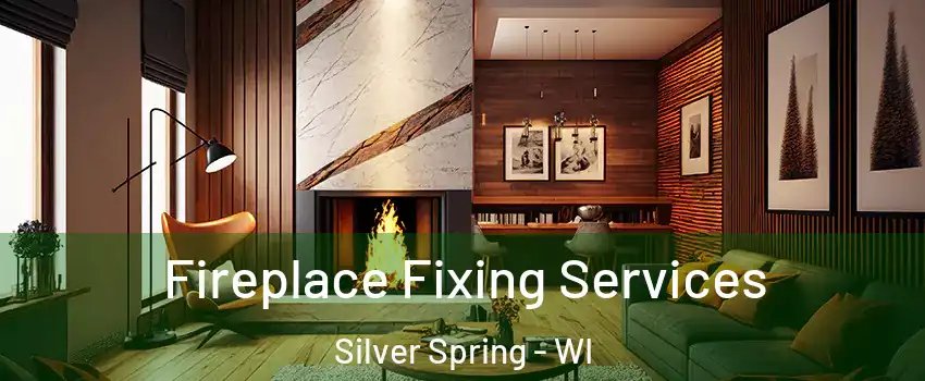 Fireplace Fixing Services Silver Spring - WI