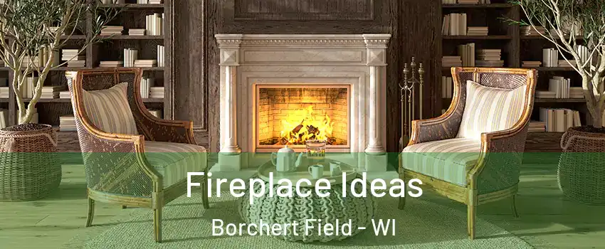 Fireplace Ideas Borchert Field - WI