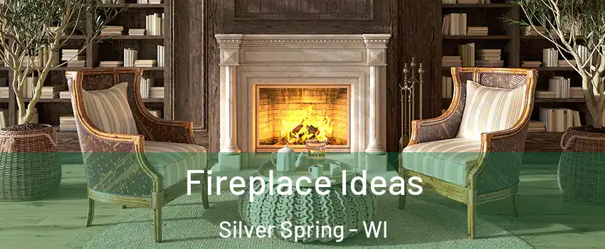 Fireplace Ideas Silver Spring - WI