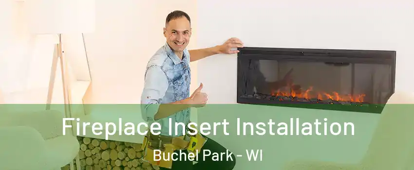 Fireplace Insert Installation Buchel Park - WI