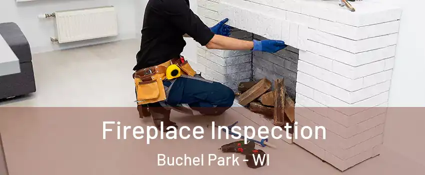 Fireplace Inspection Buchel Park - WI