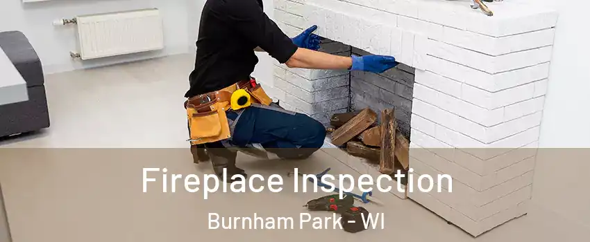 Fireplace Inspection Burnham Park - WI