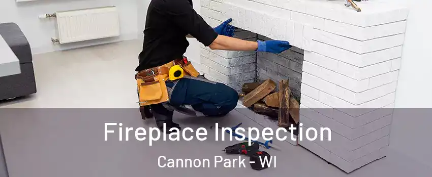 Fireplace Inspection Cannon Park - WI