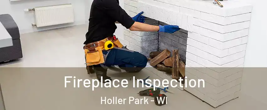 Fireplace Inspection Holler Park - WI