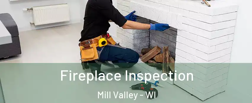 Fireplace Inspection Mill Valley - WI