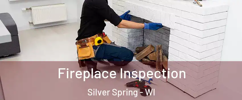 Fireplace Inspection Silver Spring - WI