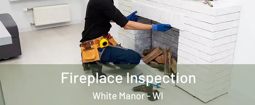 Fireplace Inspection White Manor - WI