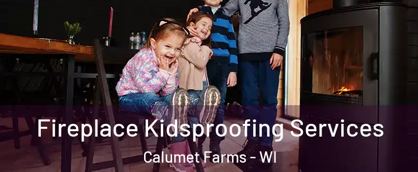 Fireplace Kidsproofing Services Calumet Farms - WI