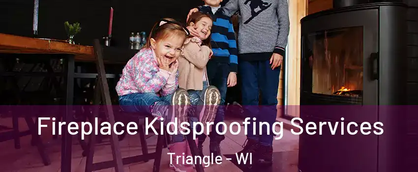 Fireplace Kidsproofing Services Triangle - WI