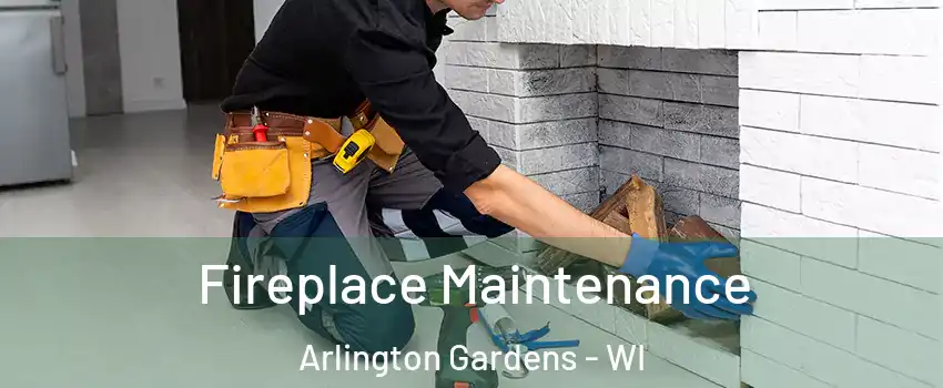 Fireplace Maintenance Arlington Gardens - WI