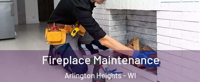 Fireplace Maintenance Arlington Heights - WI