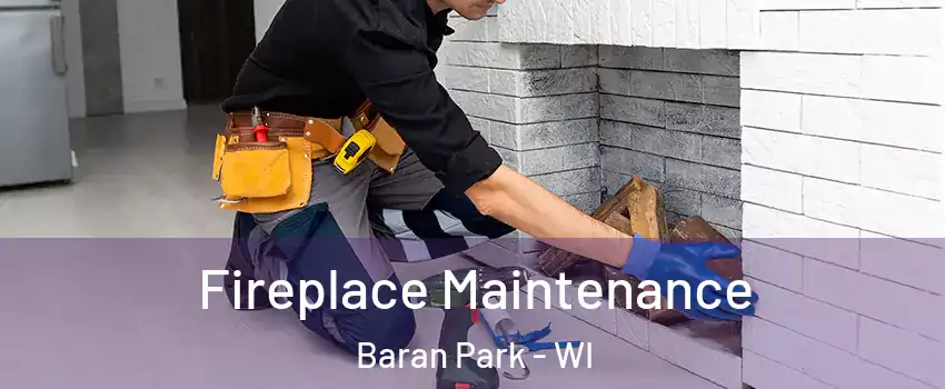 Fireplace Maintenance Baran Park - WI