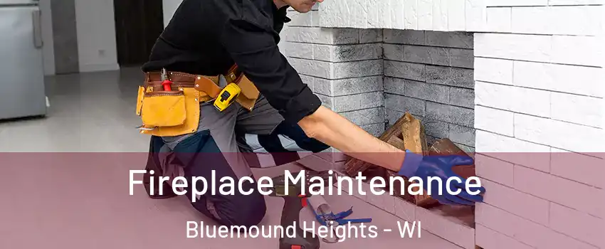 Fireplace Maintenance Bluemound Heights - WI