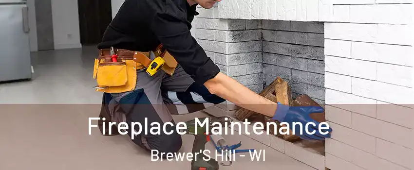 Fireplace Maintenance Brewer'S Hill - WI