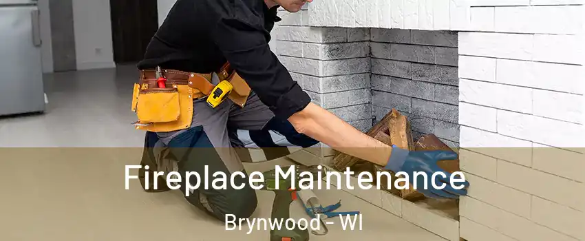 Fireplace Maintenance Brynwood - WI