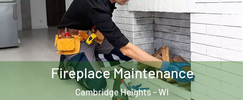 Fireplace Maintenance Cambridge Heights - WI