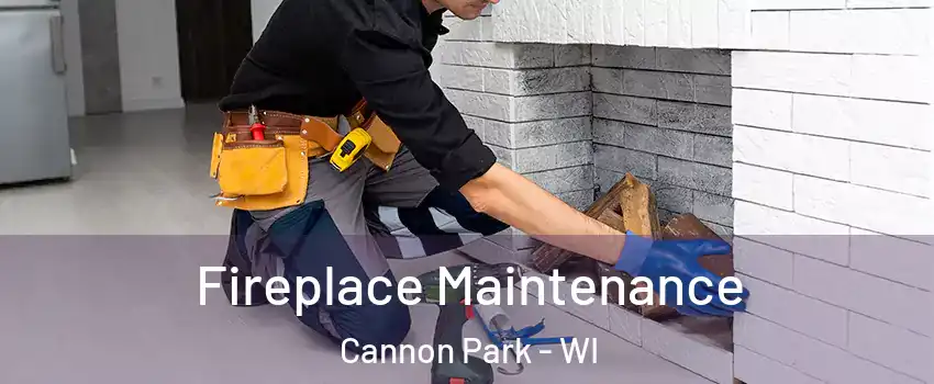 Fireplace Maintenance Cannon Park - WI