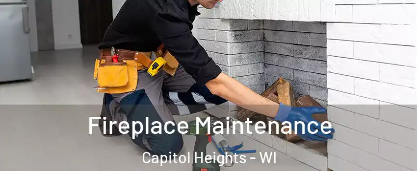 Fireplace Maintenance Capitol Heights - WI