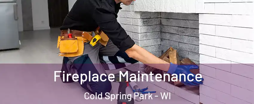 Fireplace Maintenance Cold Spring Park - WI