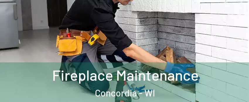 Fireplace Maintenance Concordia - WI