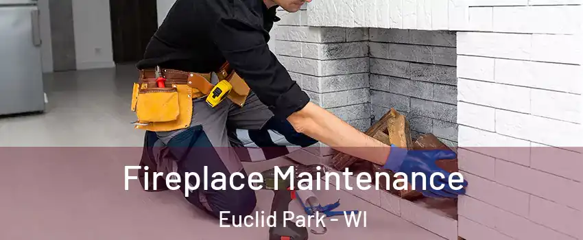 Fireplace Maintenance Euclid Park - WI