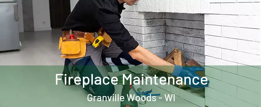 Fireplace Maintenance Granville Woods - WI