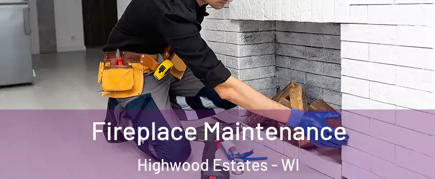 Fireplace Maintenance Highwood Estates - WI