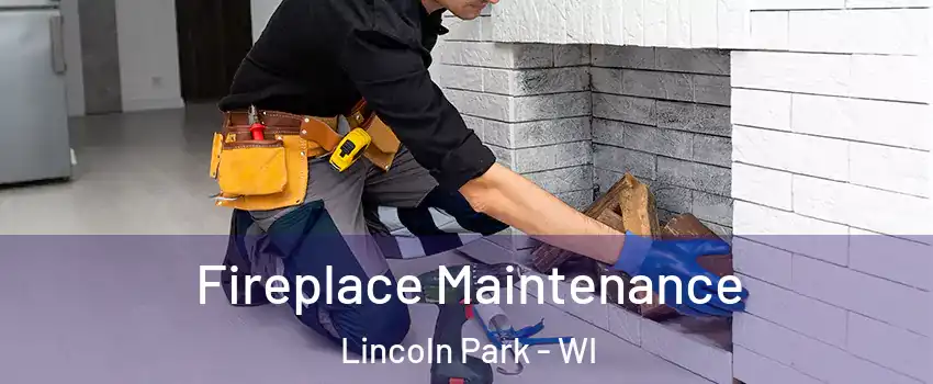 Fireplace Maintenance Lincoln Park - WI