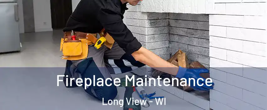 Fireplace Maintenance Long View - WI