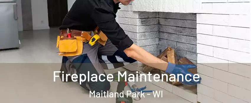 Fireplace Maintenance Maitland Park - WI