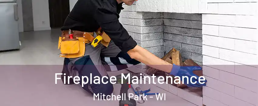 Fireplace Maintenance Mitchell Park - WI