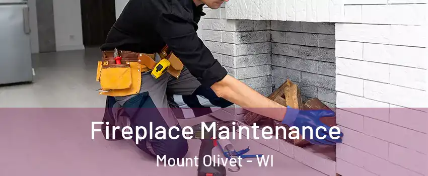 Fireplace Maintenance Mount Olivet - WI