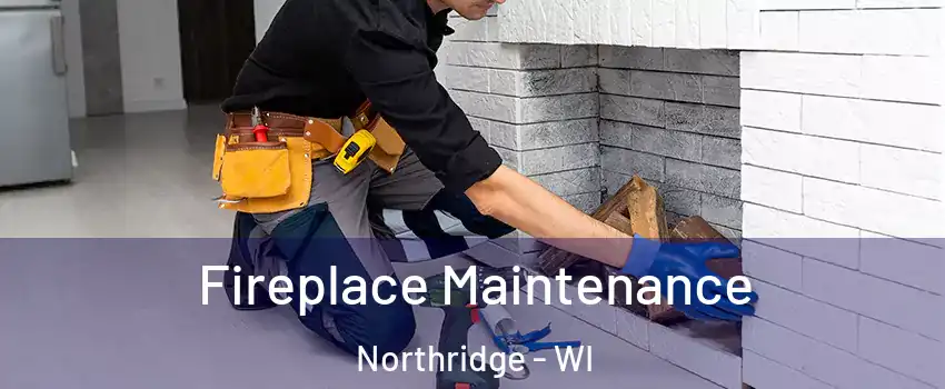 Fireplace Maintenance Northridge - WI