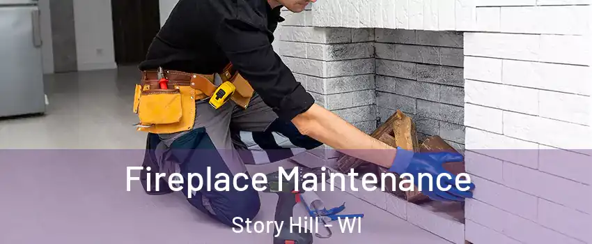 Fireplace Maintenance Story Hill - WI