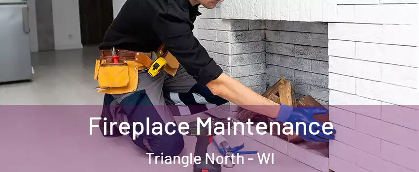 Fireplace Maintenance Triangle North - WI