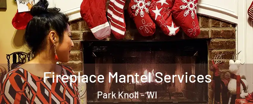 Fireplace Mantel Services Park Knoll - WI