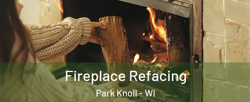 Fireplace Refacing Park Knoll - WI