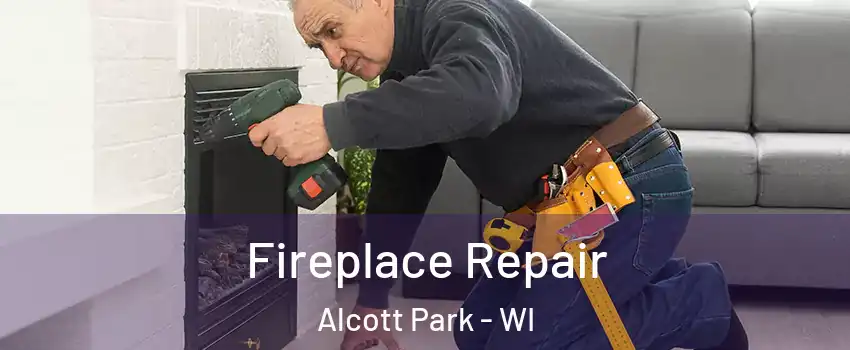 Fireplace Repair Alcott Park - WI