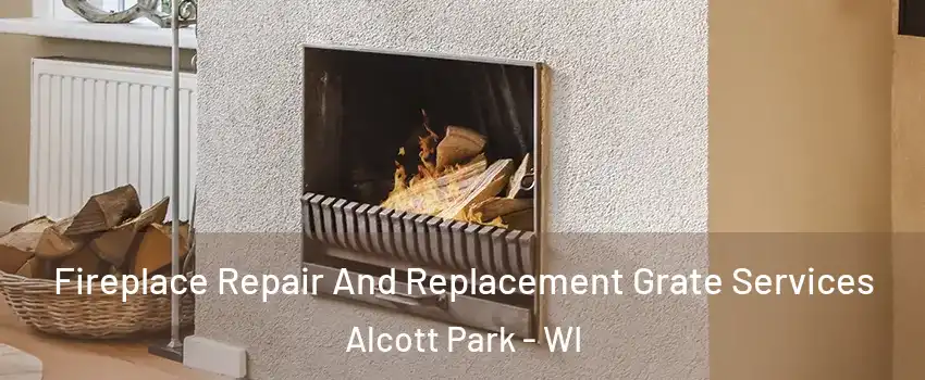 Fireplace Repair And Replacement Grate Services Alcott Park - WI