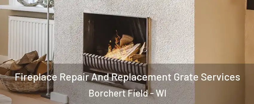 Fireplace Repair And Replacement Grate Services Borchert Field - WI