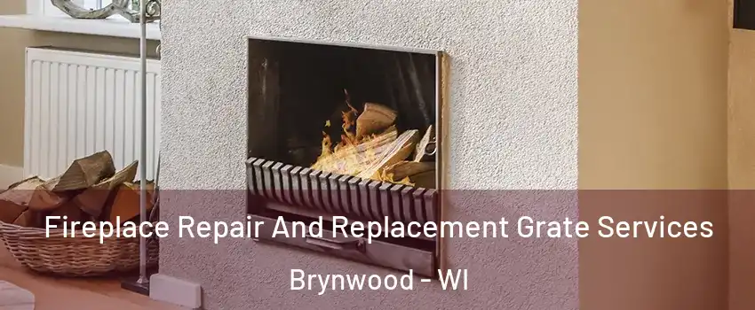 Fireplace Repair And Replacement Grate Services Brynwood - WI