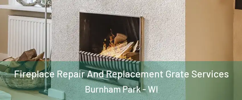 Fireplace Repair And Replacement Grate Services Burnham Park - WI