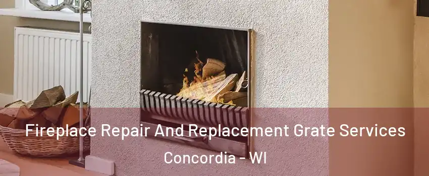 Fireplace Repair And Replacement Grate Services Concordia - WI