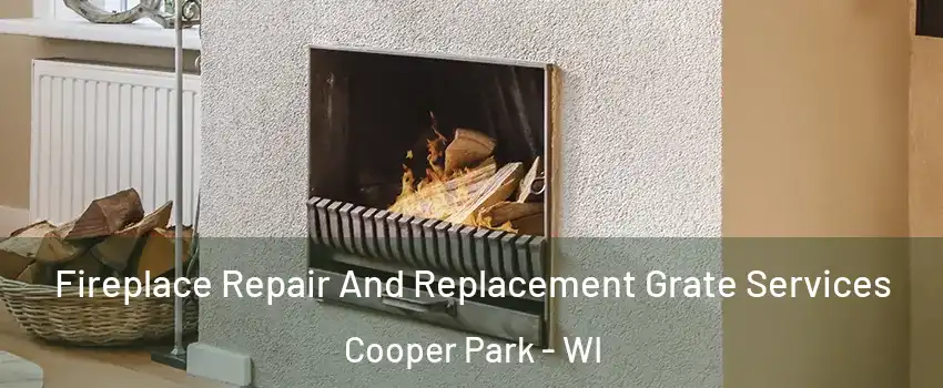 Fireplace Repair And Replacement Grate Services Cooper Park - WI