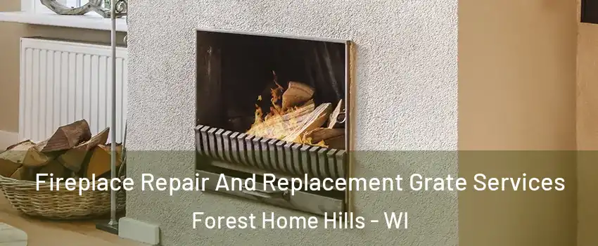 Fireplace Repair And Replacement Grate Services Forest Home Hills - WI