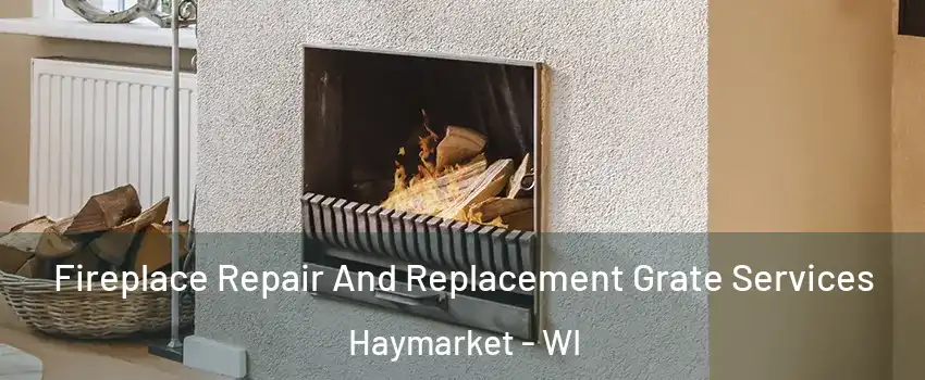 Fireplace Repair And Replacement Grate Services Haymarket - WI