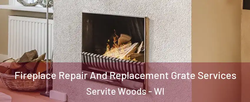 Fireplace Repair And Replacement Grate Services Servite Woods - WI