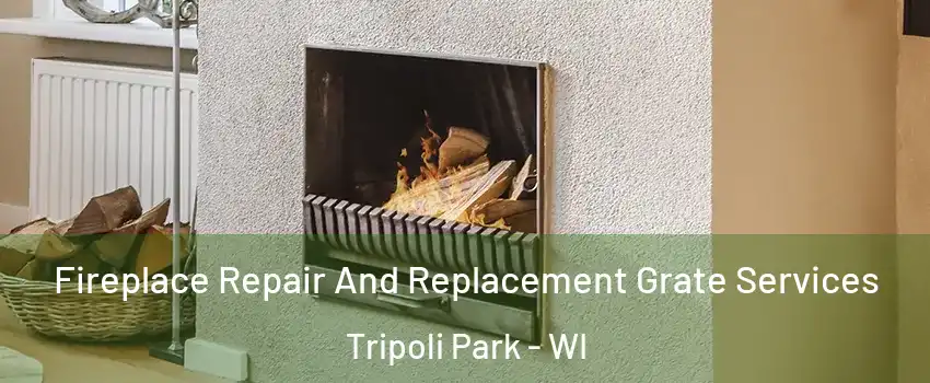 Fireplace Repair And Replacement Grate Services Tripoli Park - WI