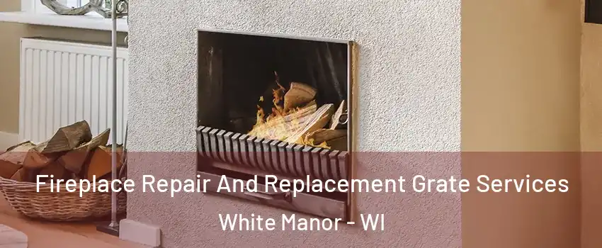 Fireplace Repair And Replacement Grate Services White Manor - WI